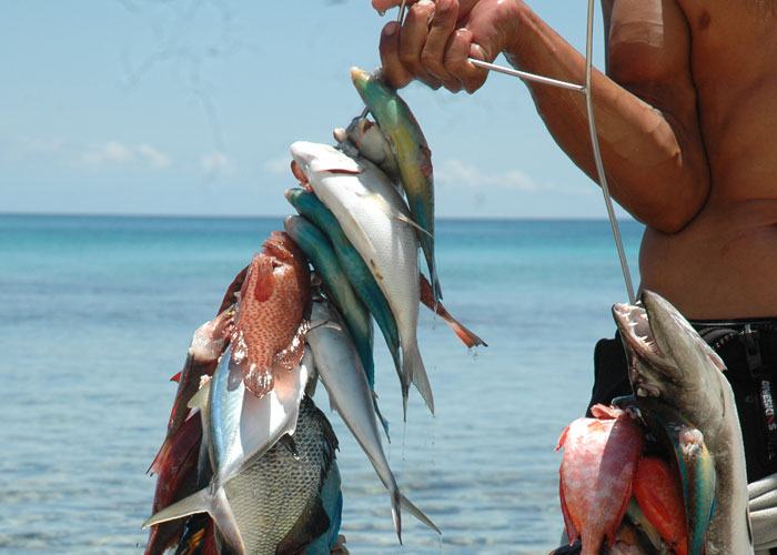 Bayahibe 07